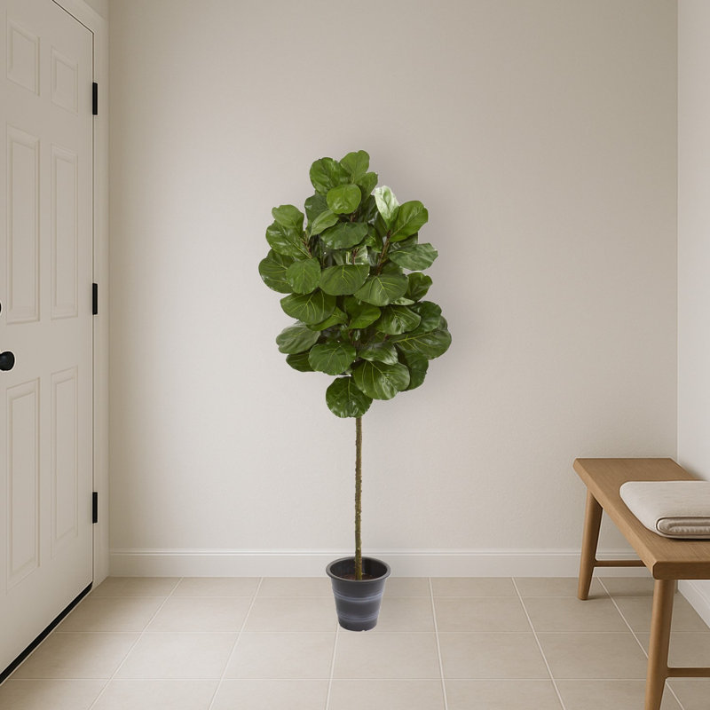 Fiddle Leaf Artificial Tree with Decorative Planter