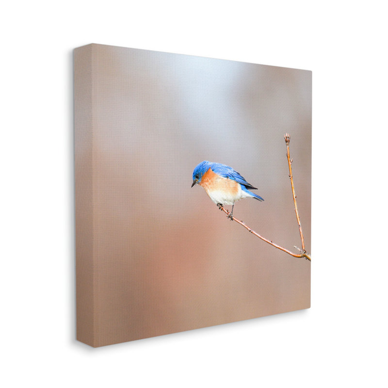 " Lone Blue Jay Bird Tree Simple Design " by Daniel Sproul, 17" W x 17" H, Wrapped Canvas
