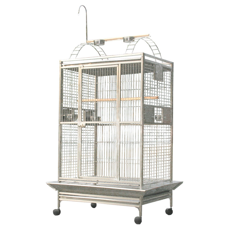 Cage de jeu extra large en acier inoxydable, H 75 po x l 40 po x P 30 po
