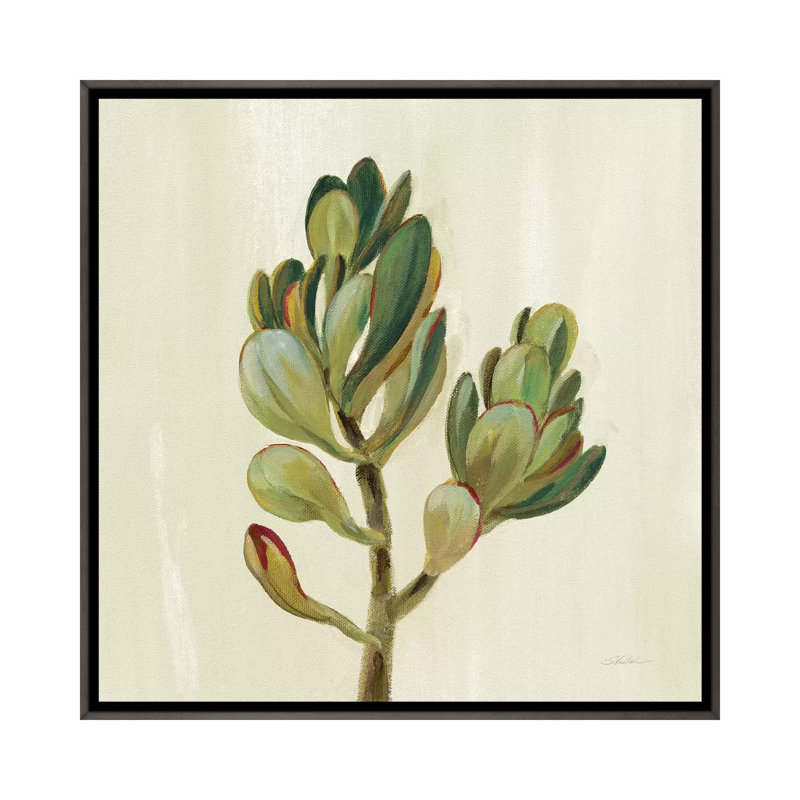 «Front Yard Succulent II» par Silvia Vassileva - reproduction d'art, Dark Rustic Wood Framed, Pas de tapis