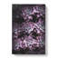 Pretty Purple Succulent Plants - Wrapped Canvas-56666944