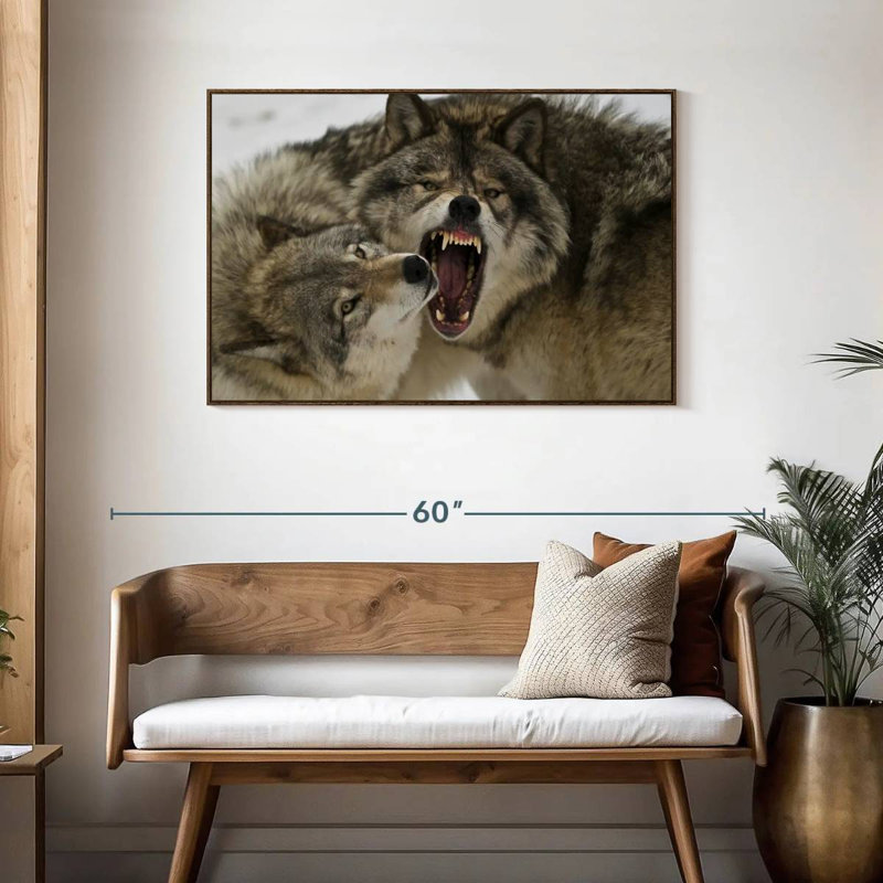 Combat de loups, Cadre flottant noyer, 40 po x 27 po