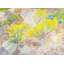 Thank Heaven For Daffodils Print by Marsha Heller