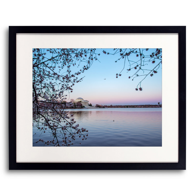 Cherry Blossom Morning On The Tidal Basin Print by Scott Wurzel, Black Framed Paper, 17.2" H x 21.2" W