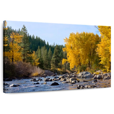 Harnek Truckee River Cottonwoods