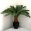 70cm Faux Palm Plant in Pot Liner