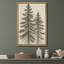 «Tall Pine Trees Classic Botanical Nature Art», reproduction d'art sur toile encadrée-120747924-120747933-120747925