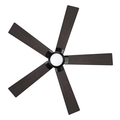 Ventilateur de plafond intelligent avec télécommande, ensemble d'éclairage, fonctionne avec l'assistant Google et Amazon Alexa, raccourci Siri.