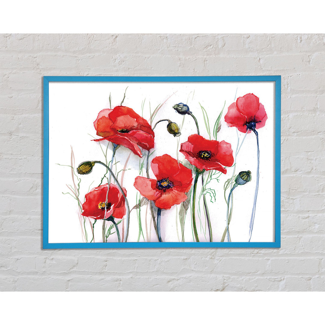 Mohn Magic Skies - Druck