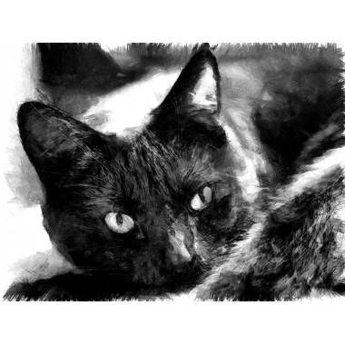 Black Cat Print  Cat painting, Cat artwork, Kanvas art