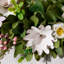 Dried 34cm Wreath