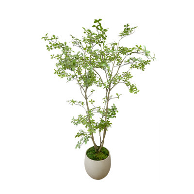 Bonsai en pot de fibres