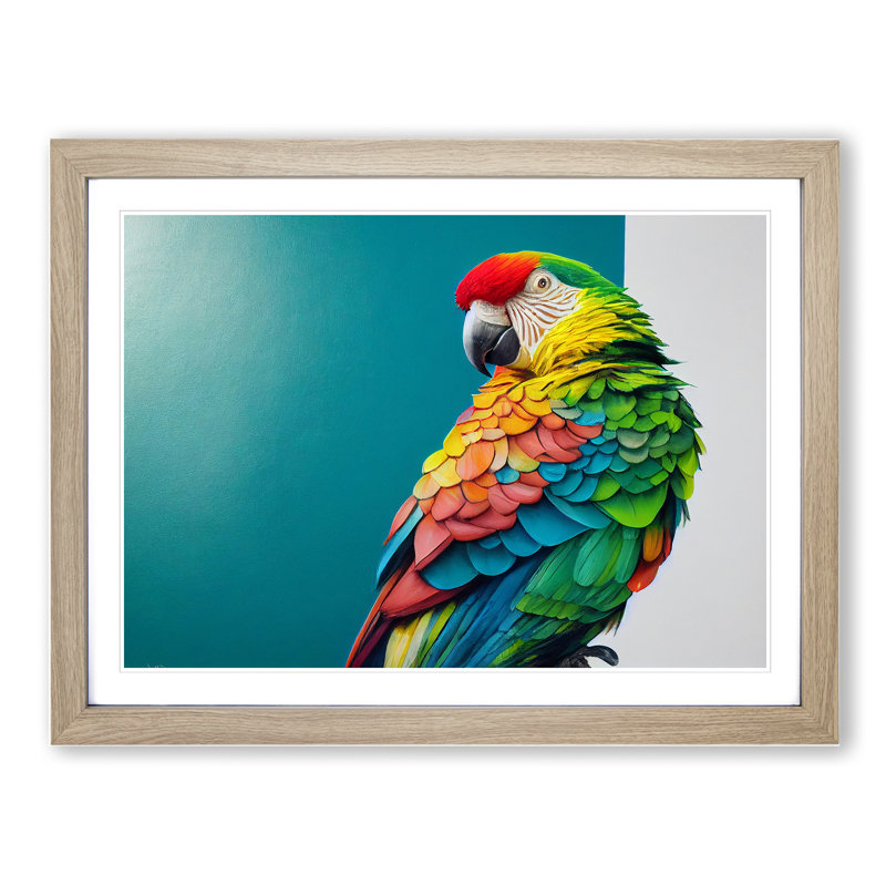 Captivating Parrot - Framed Print, 25cm H x 34cm W x 2cm D