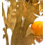 Dragos 5 - Light Chandelier