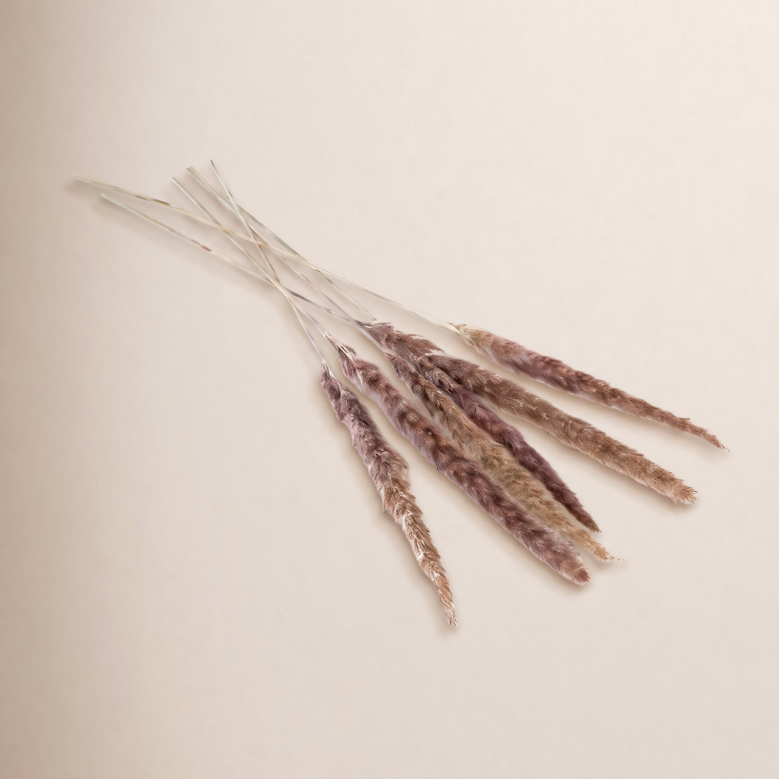 Noemie 27" Pampas Grass, Gray