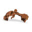 Cast Naturals Burled Root Wall Décor
