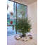 Christmas Jute / Sisal Geometric Area Rug
