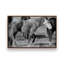 «Painted Pony» par Nathan Larson, reproduction d'art-754920118-754920119-754920122