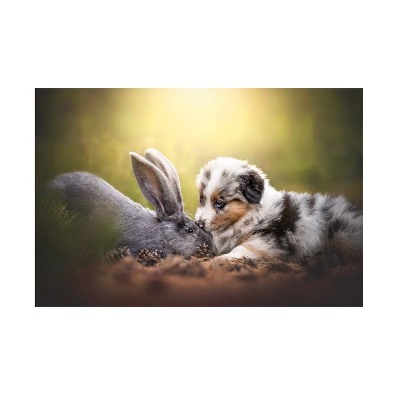 «Natalie Grosse Rabbit Love», art sur toile, H 16 po x l 24 po