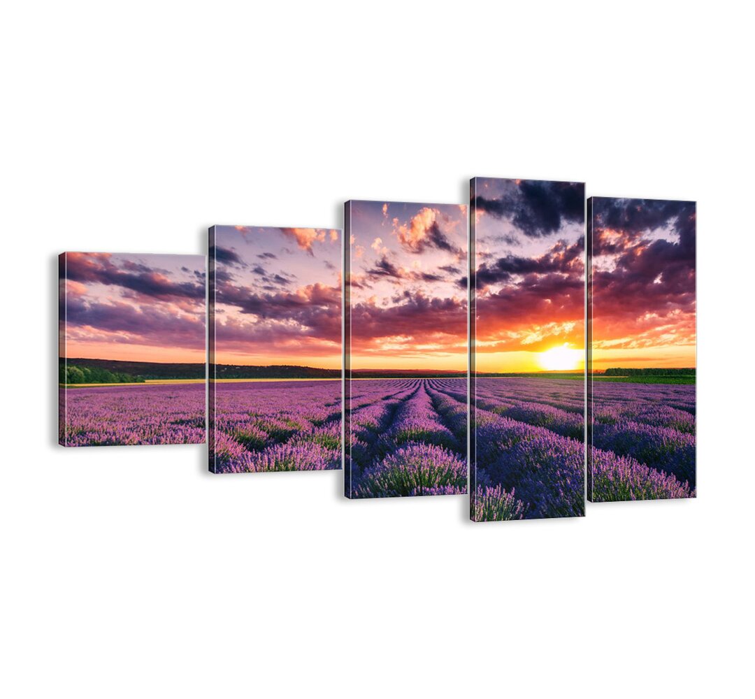 5-tlg. Leinwandbilder-Set - Fotografie „Lavender World”