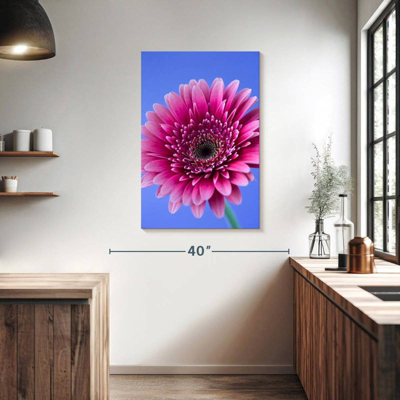 Rose Harnek Gerbera Daisy I, H 39 po x l 26 po