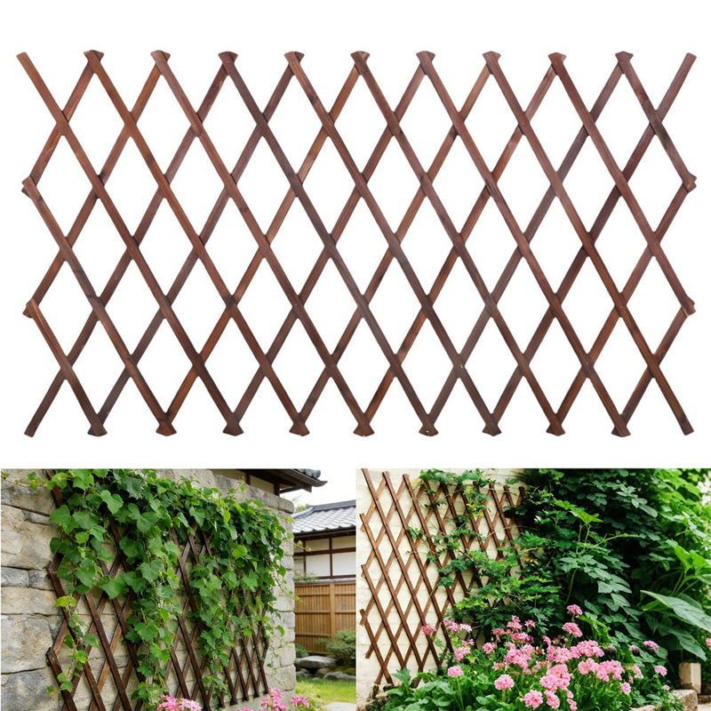 Treillis extensible pour jardin, treillis en bois épais, 96,5 cm x 226 cm, pour plantes grimpantes d'extérieur (1 pièce)