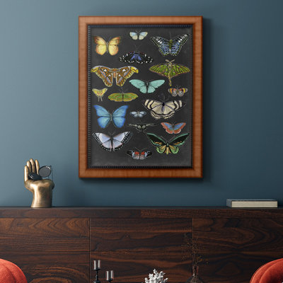 «Graphic Butterfly Taxonomie I», toile encadrée de qualité supérieure - prête à être accrochée