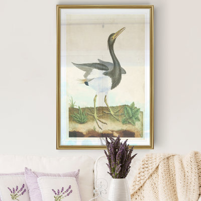 Heron Portrait V - Natural History Print, Matted and Framed Under Acrylic Glass, Coastal Wall Art for Living Room
