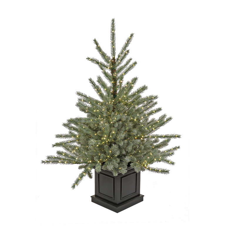 4' Blue PE Spruce Christmas Tree with 780 Lights