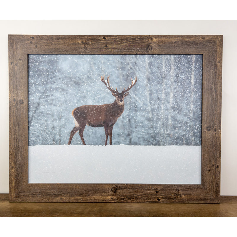 " Deer In Snow "