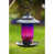 Violet est en rupture de stock