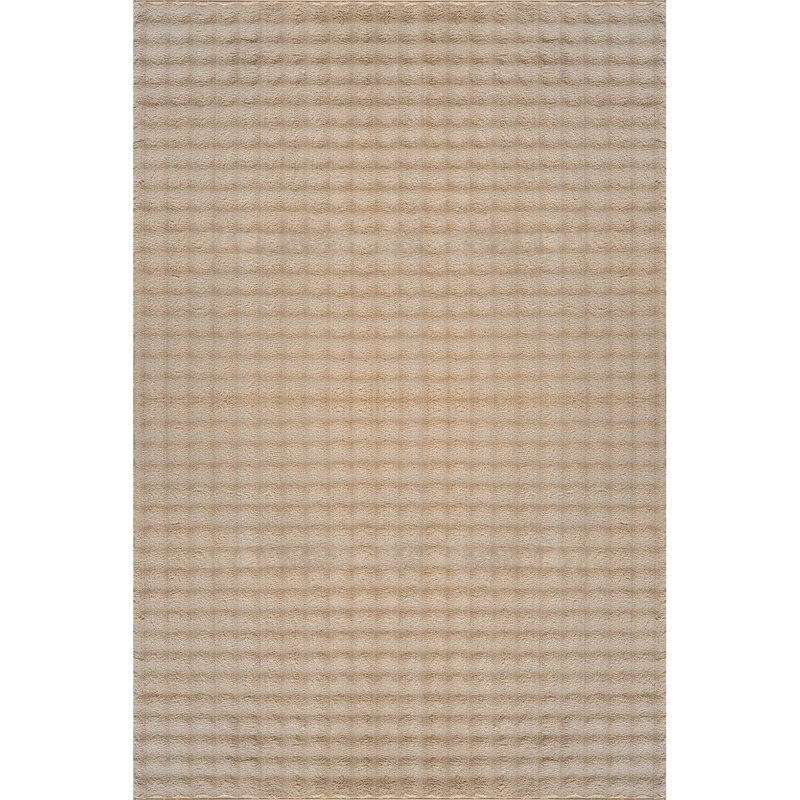 Soft Non-Slip Indoor Area Rug, Rectangle 2' x 3'