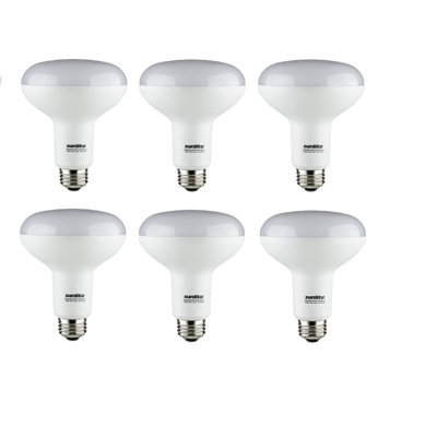 12 W BR30 E26/Medium (Standard) 3000 K LED Smart Bulb