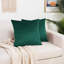 Shiny Velvet Pillow Cover-93563641-93563640-93563628