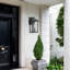 Matte Black 30cm H Outdoor Sconce