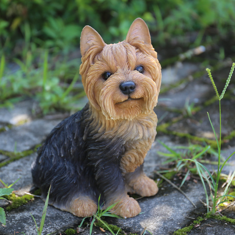 Adorable Brown and Black Sitting Yorkshire Terrier Dog Statue