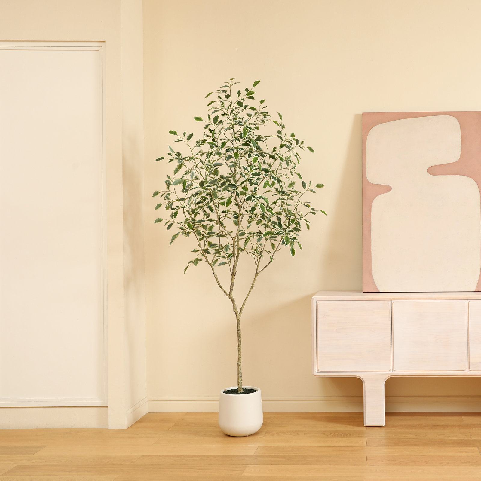 Adagio Ficus Tree in Pot, 84" H x 28" W x 28" D