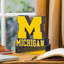 Statue mascotte ncaa-42563404