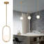 Luminaire suspendu 1 lumière Genioara-1591394669