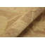 Tapis oriental en laine ivoire / brun 11 pi 10 po x 14 pi 5 po Aarav