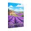Paysages de campagne et paysages lavande, France-948290288