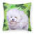 Bichon Frise 1