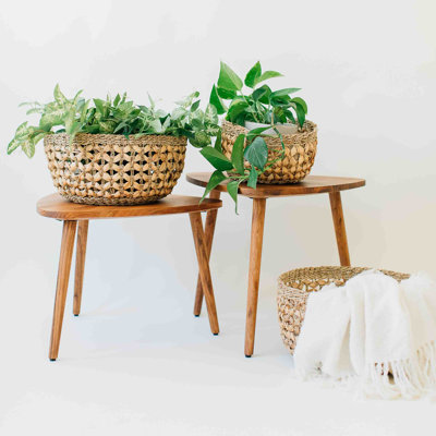 Bayou Breeze Decorative Basket