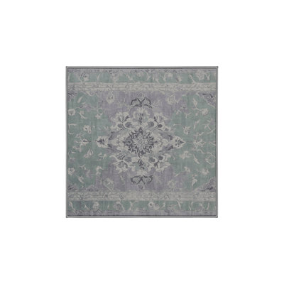 Machine Washable Gray Area Rug