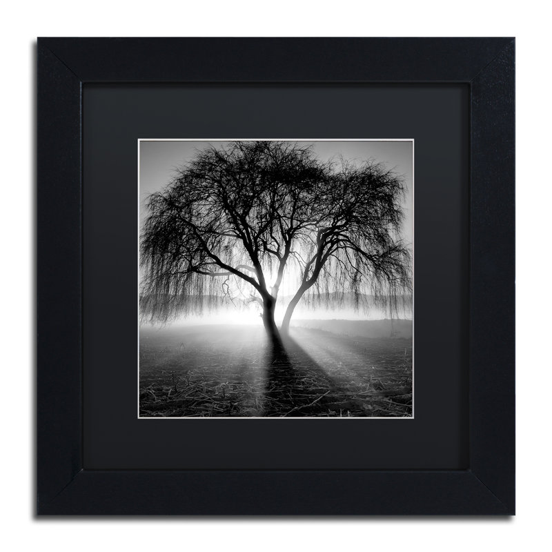 « lightning tree i » par moises perçu, reproduction de photo encadrée, H 16 po x l 16 po x P 0,5 po