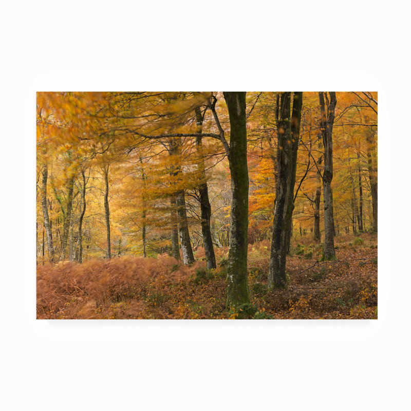 Wingler Canvas Landscape & Nature Wall Decor, 12" H x 19" W x 1.5" D