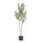 Arbre d'olive artificiel-343693792