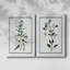 Toile tendue Botanical I-Premium Gallery - prête à être accrochée-1061478729