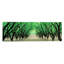 « hazeling verger, dayton, oregon », reproduction de photo sur toile-19980202-71996528