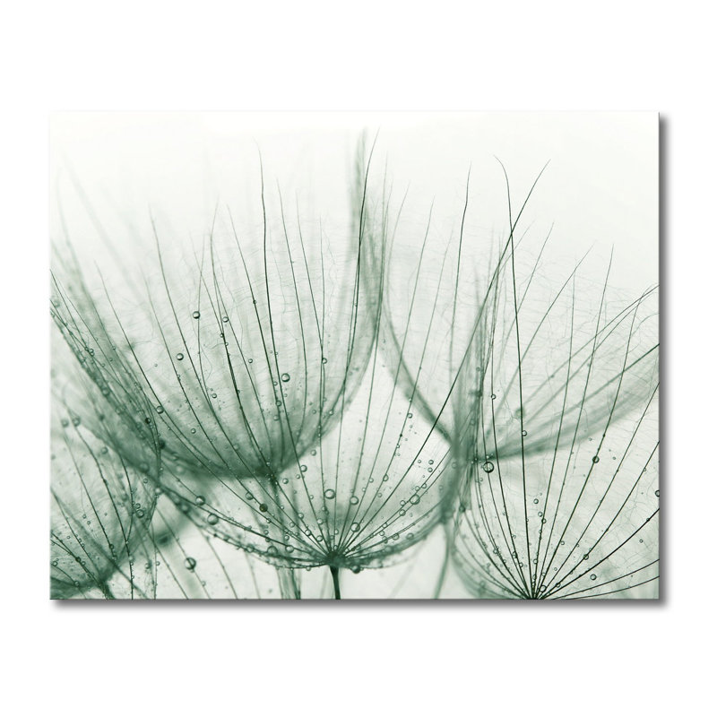 Wrapped Canvas Print, 80cm H x 100cm W x 2cm D